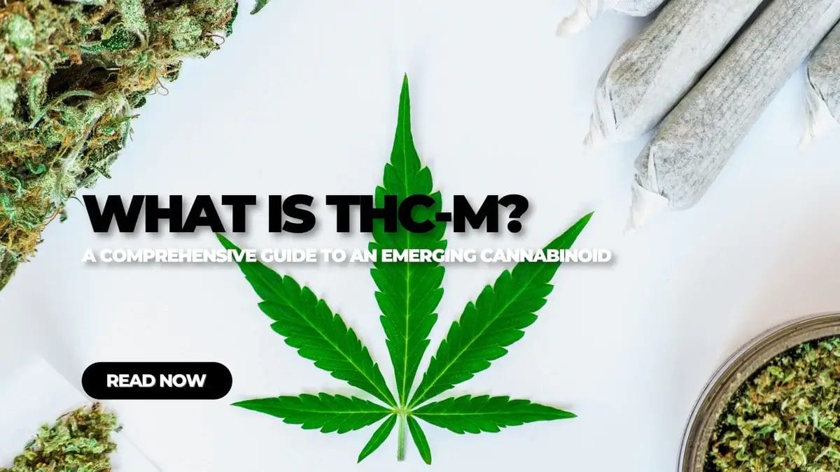 Understanding the THC-M Cannabinoid